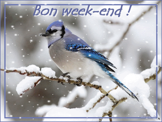 1469) Bon week-end