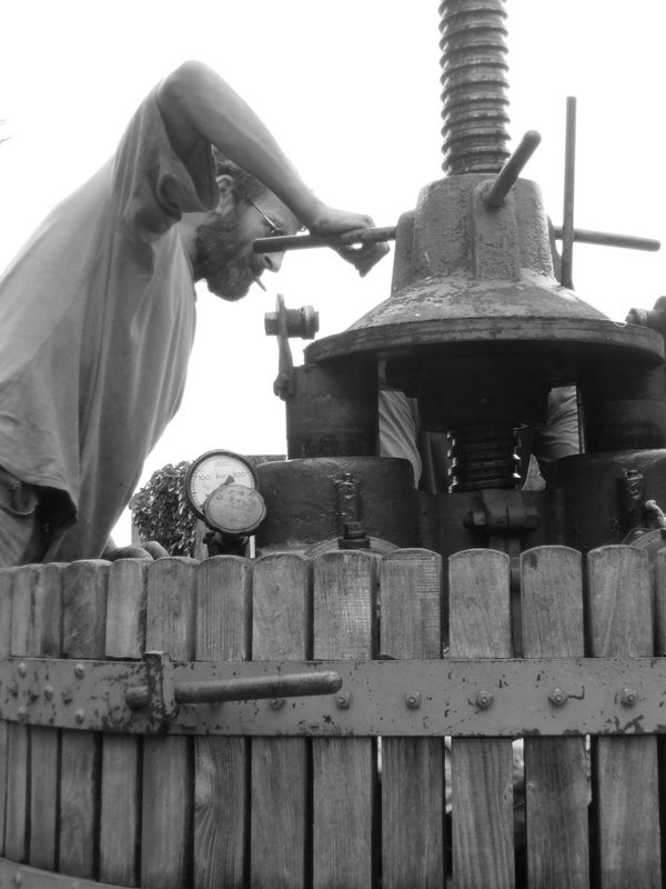 clairette pressing at pech d'andre