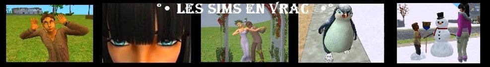 Les Sims en Vrac 2