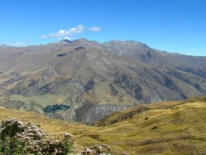 IMG_6036