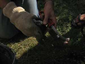 juin 2010 445