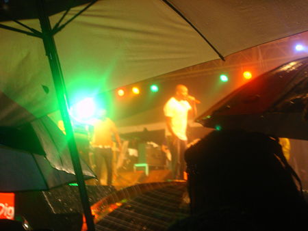 DSC03881