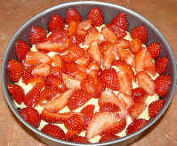 fraisier11effet_1_