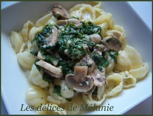 P_tes__pinards_champignons