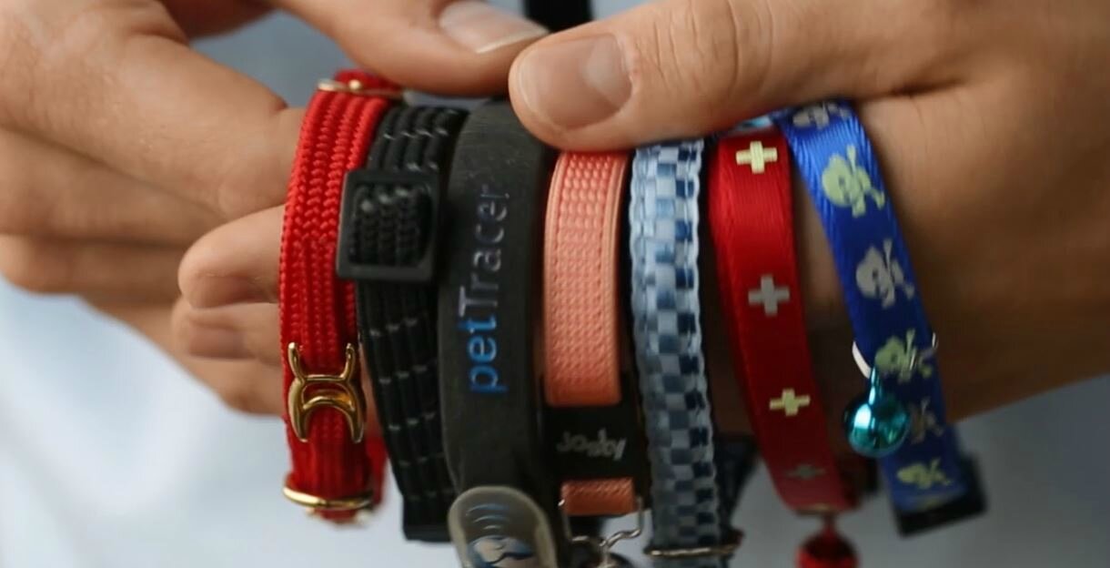 Pettracer gps top cat collar