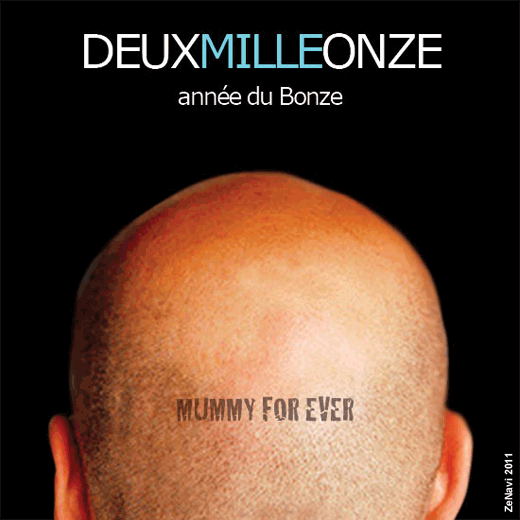 Vœux 2011 - Des mots et des images