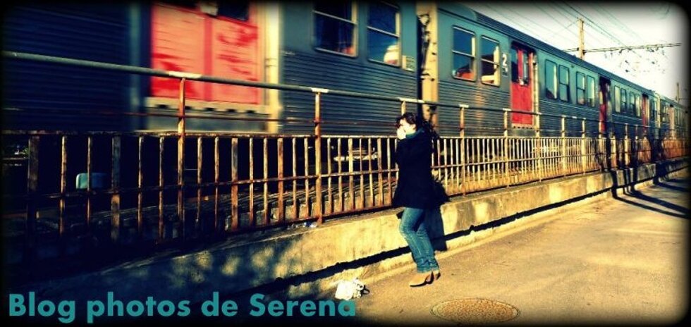Blog photos de Serena