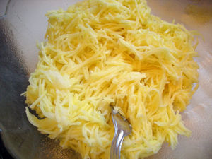 DSCN0447