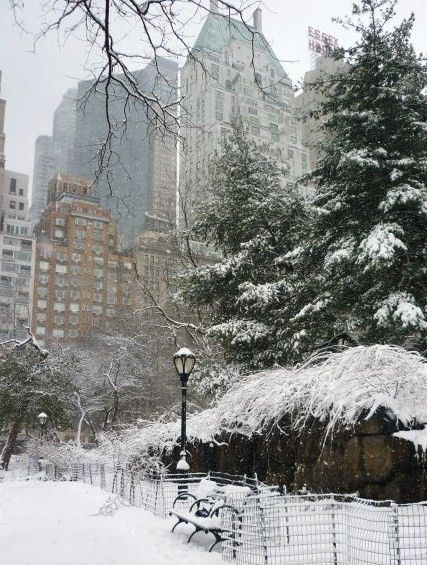 central_park_5_fev_10