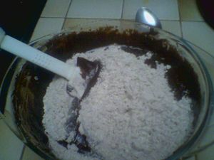 Photo0006