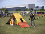 ULYSSE en Agility 70756539_p
