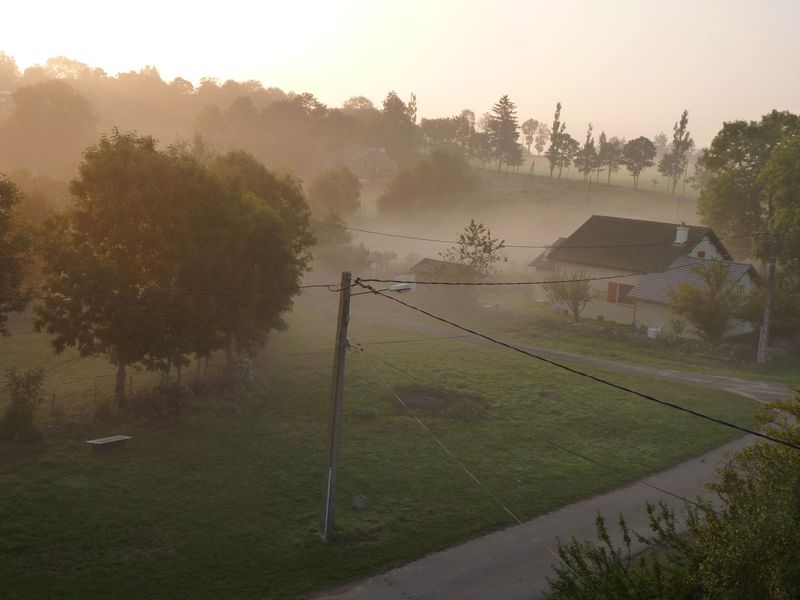 44502217.jpg