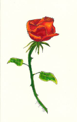 55993660_m.jpg