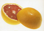 pomelo_2