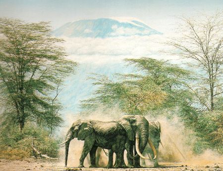 kili3