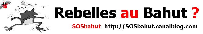 Rebelles au bahut