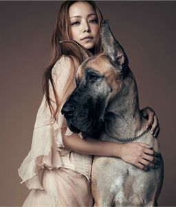 artistimage