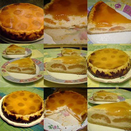 cheese_cake_abricot