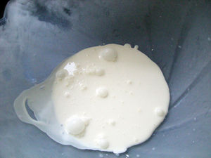 DSCN4023