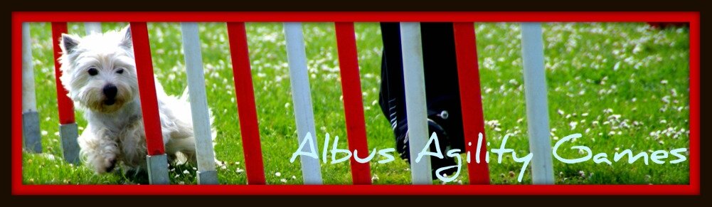 Albus en Agility