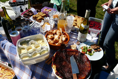 picnic_sucr__1