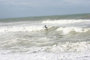 IMG_6791