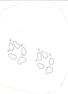 sac_parres_de_chat