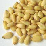 pinus_pinea_pinones