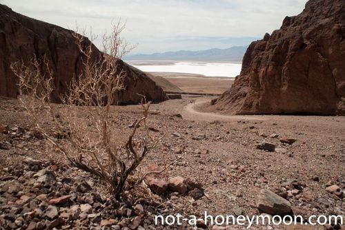 valley of death