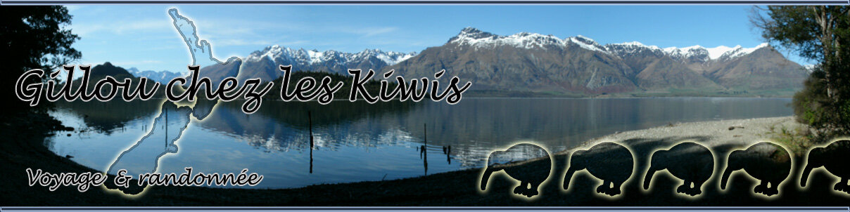 Gillou chez les Kiwis