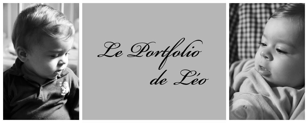 Portfolio de Léo