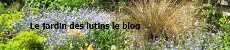 le blog du jardin des lutins
