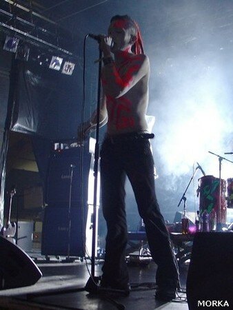 11266012_p.jpg