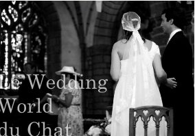 Le wedding world du Chat