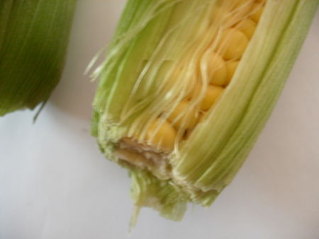 GEDC0085