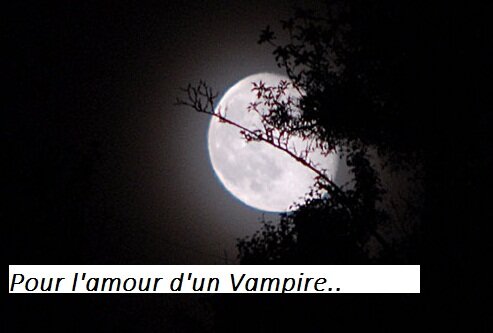 Pour l'amour d'un vampire