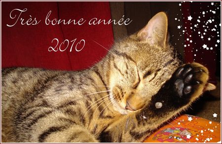 tr_s_bonne_ann_e_2010