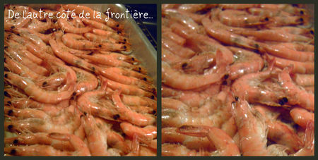 gambas2collage