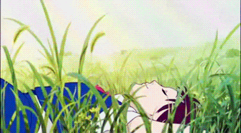 71129269.gif