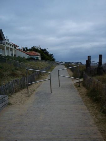 DSC00605