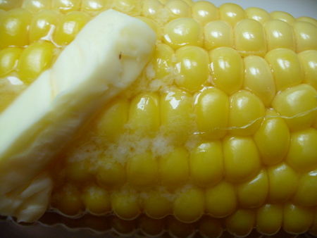 GEDC0095