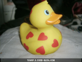 CANARD