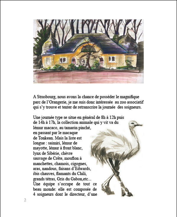 02_autruche_strasbourg_zoo