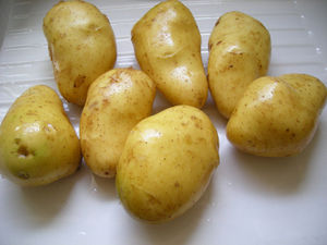 DSCN3748