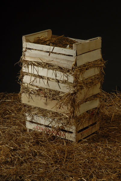 blog_nid_de_poule