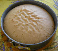 fraisier4effet_1_