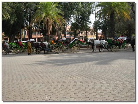 marrakech__275_