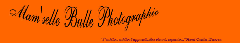 Mam'Selle Bulle Photographies