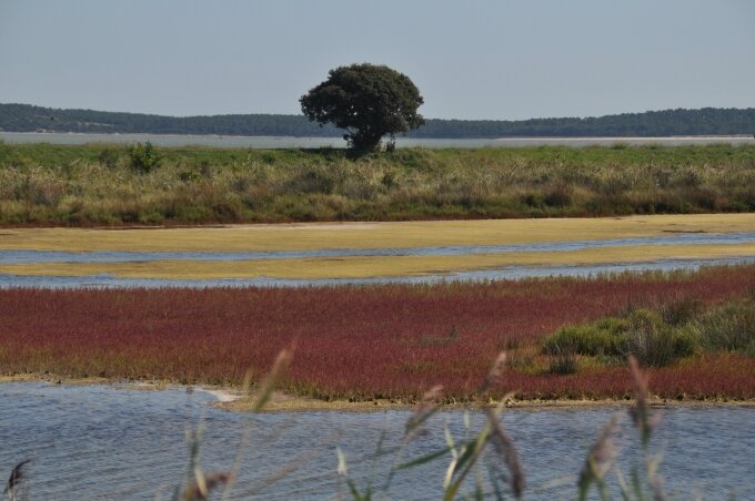 OLERON SEPT