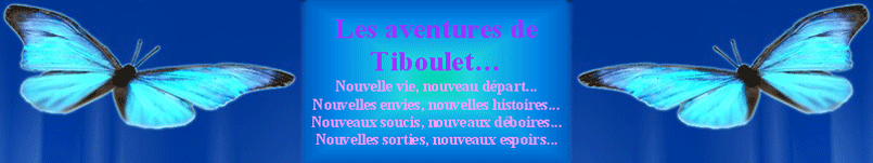 Les aventures de Tiboulet